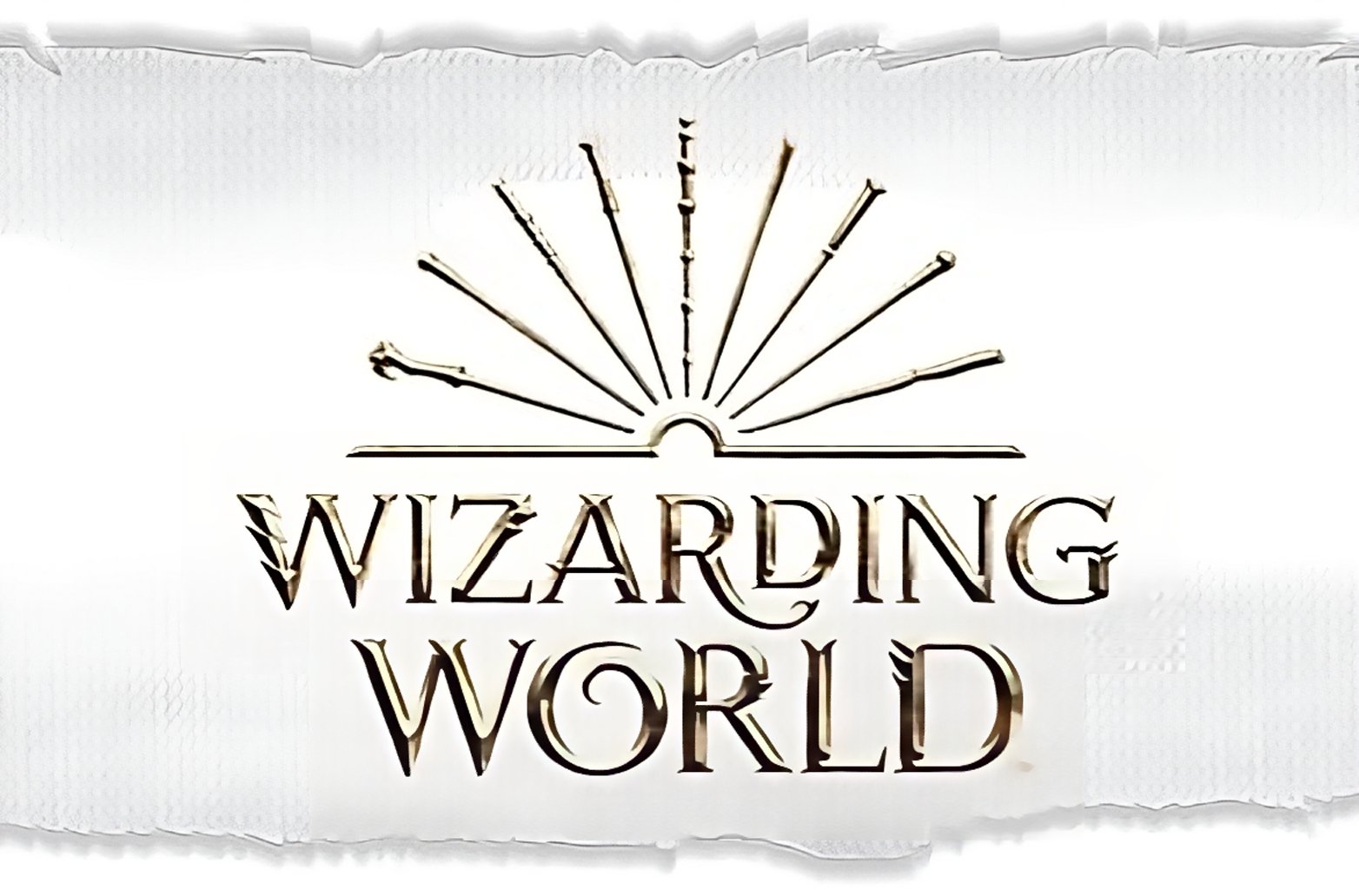 Wizarding World - Arditex S.A.